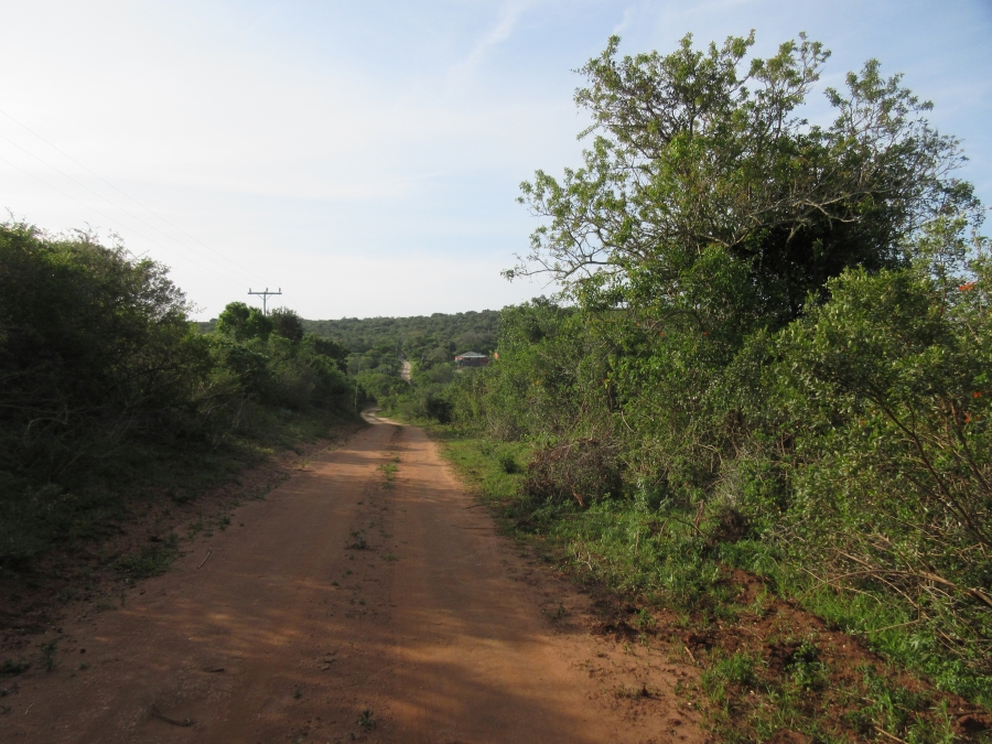 0 Bedroom Property for Sale in Bathurst Eastern Cape